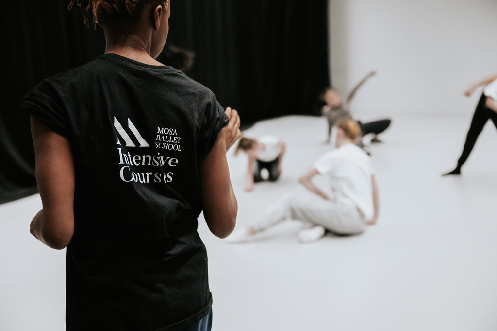Teachers Summer Intensive