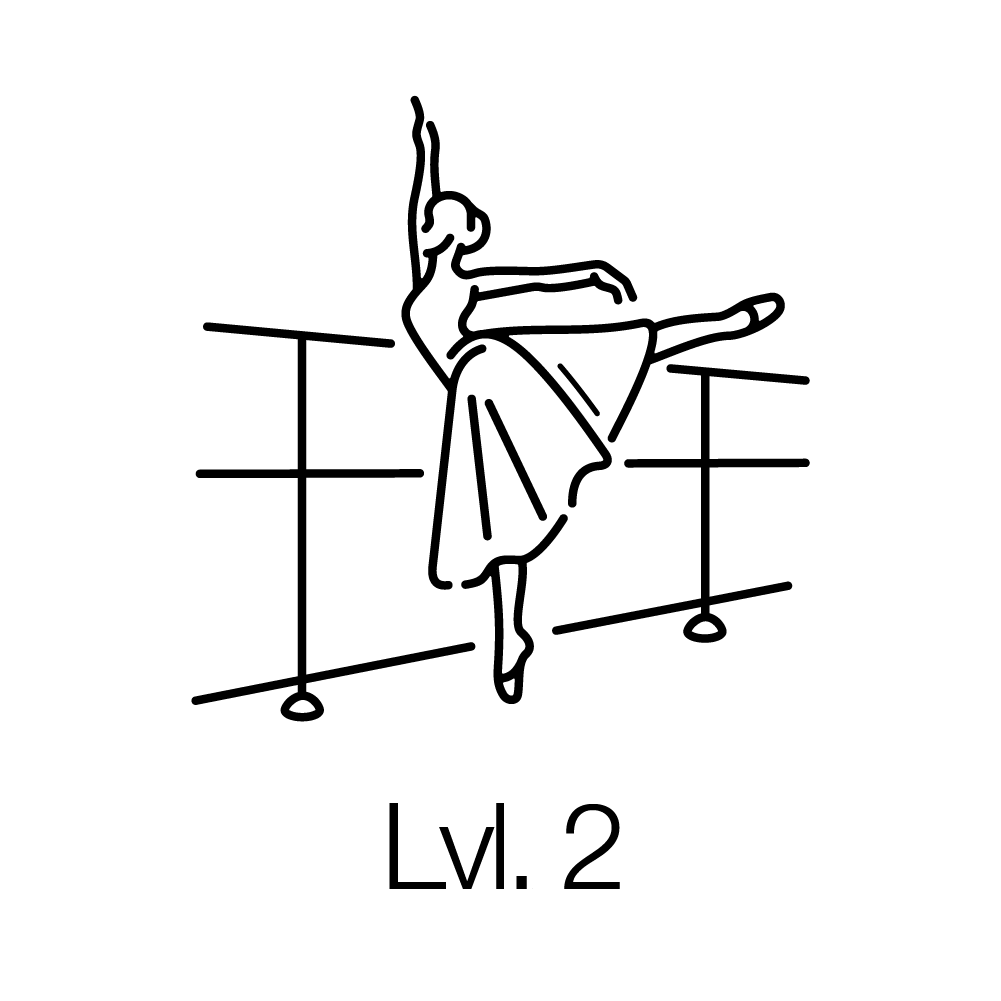 Level II Program